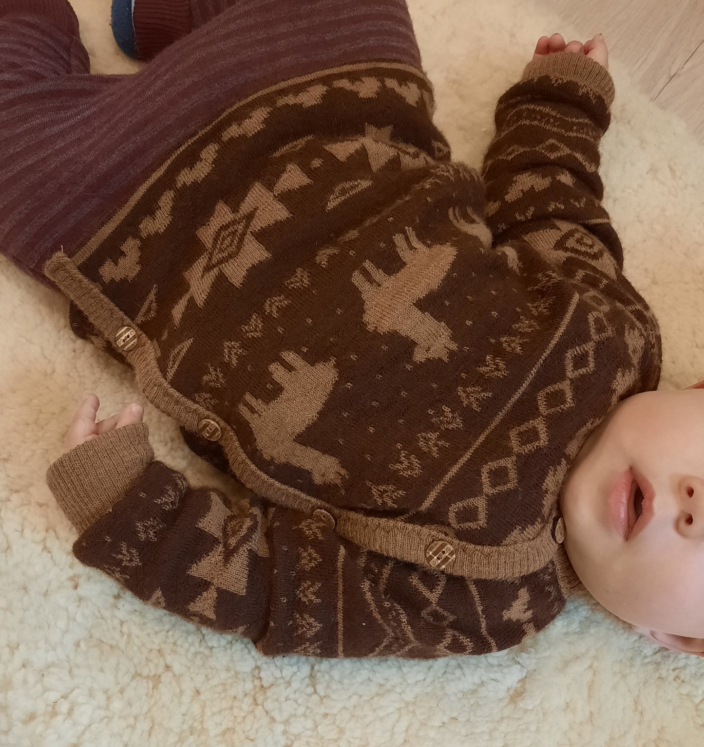 E-Book Schlüttli-Jäckchen