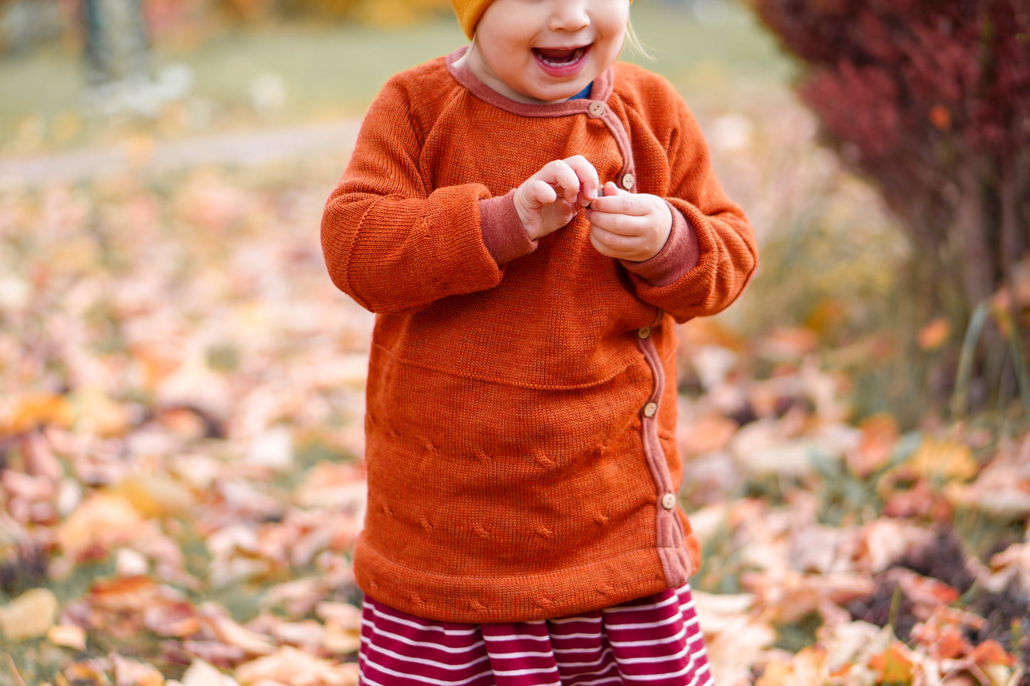 E-Book Schlüttli-Jäckchen