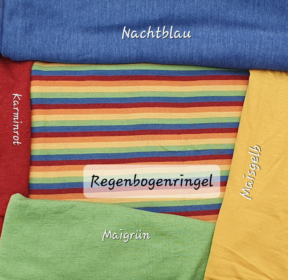 Sonnenhut Regenbogenringel